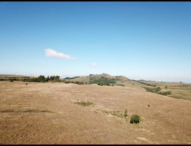 830HA FARM FOR SALE IN DARGLE